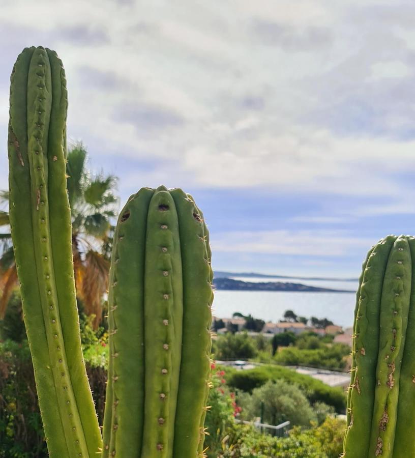 Magnifique Appartement Vue Mer - Grande Terrasse Et Piscine Bandol Exterior foto